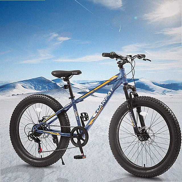 24in Fat Tire MTB Bike Full Shimano 7 Speeds Dual Disc Brake off-road Variable