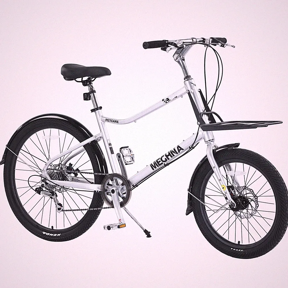 26 Inch Cargo Bike 7 Speed, Aluminum Alloy Frame, Silver