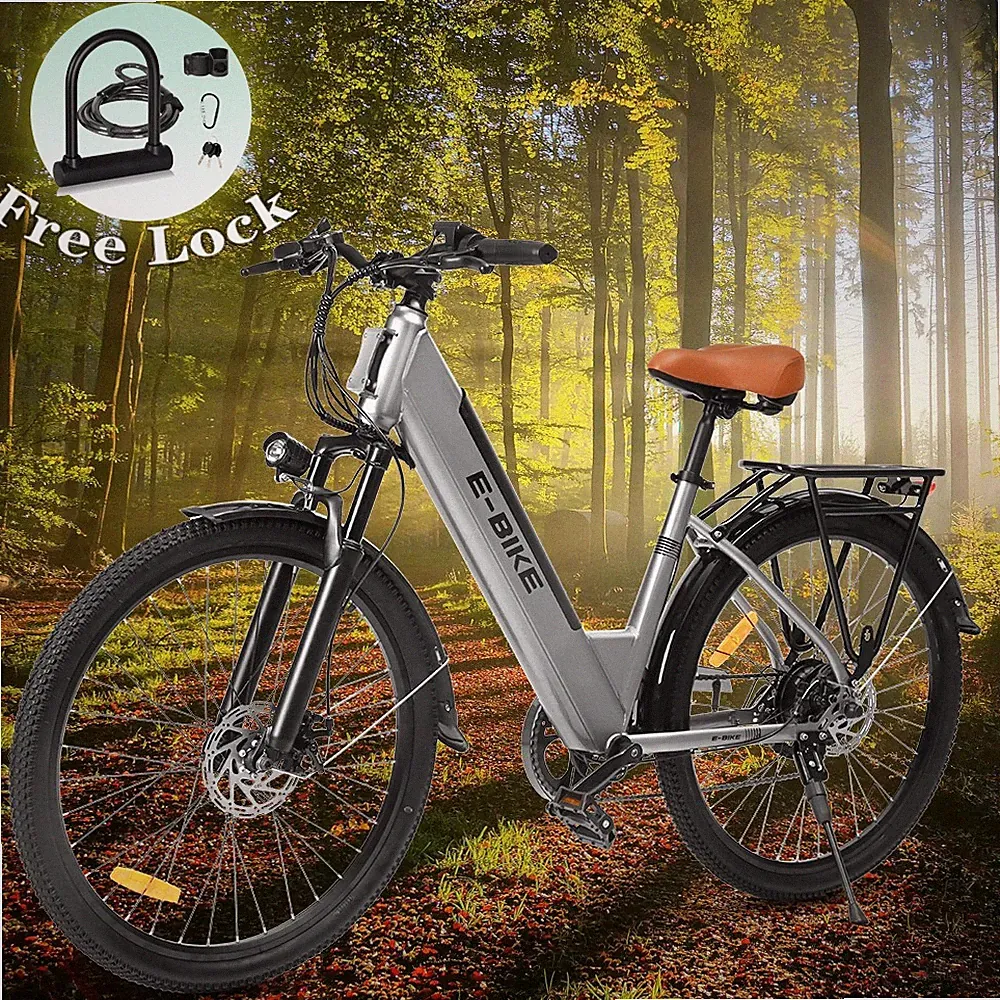 Axiniu 26" Grey Electric Bicycle 750W/36V/13AH Mountain Bike For Adults US