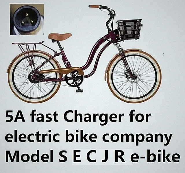 🔥fast 5A power supply battery Charger For Electric Bike Model E R S C J e-bike
