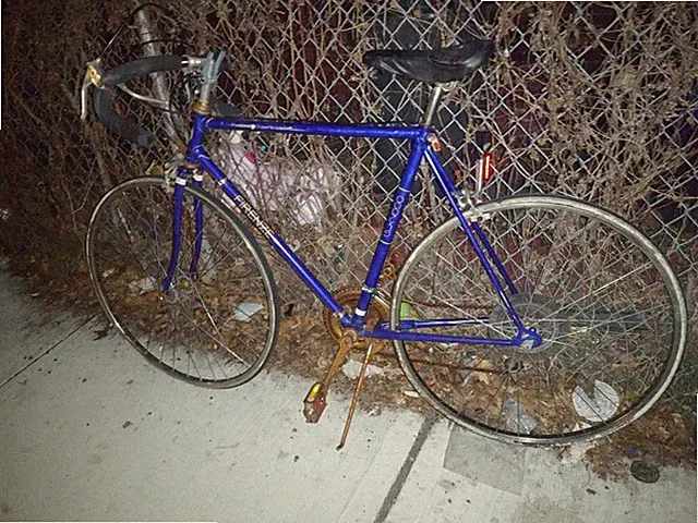 Firenze 12 Speed Touring Bike