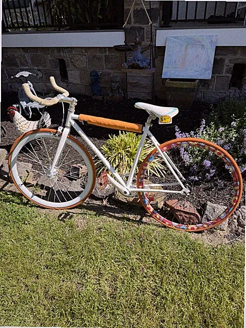 fixed gear single speed bike 48-49 Cm Pick Up Near Philadelphia