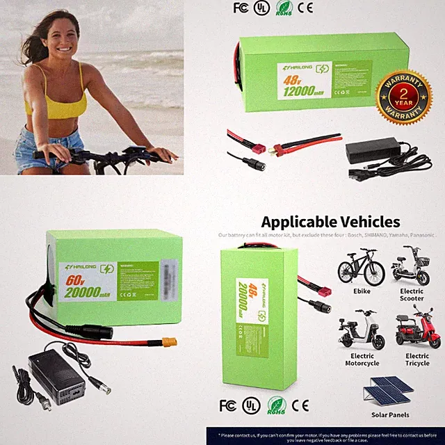 H HAILONG LI-ION Battery 24V 36V 48V 52V 60V 12Ah 20Ah 30AH ebike Battery