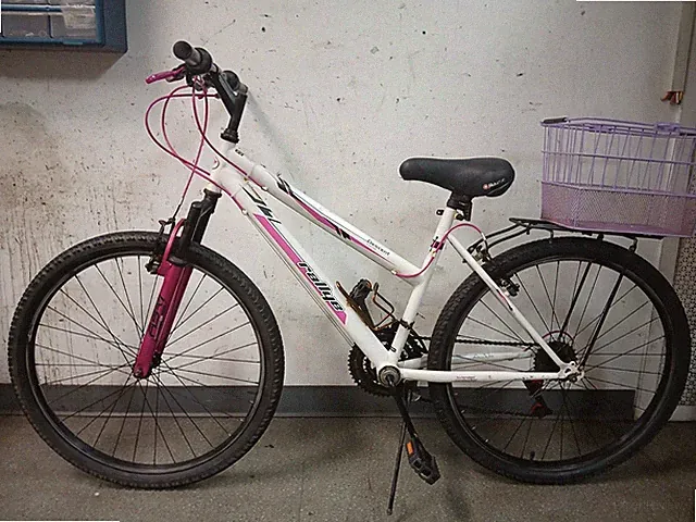 Rallye Descent 26" wheels 18 gears adult hybrid bike.