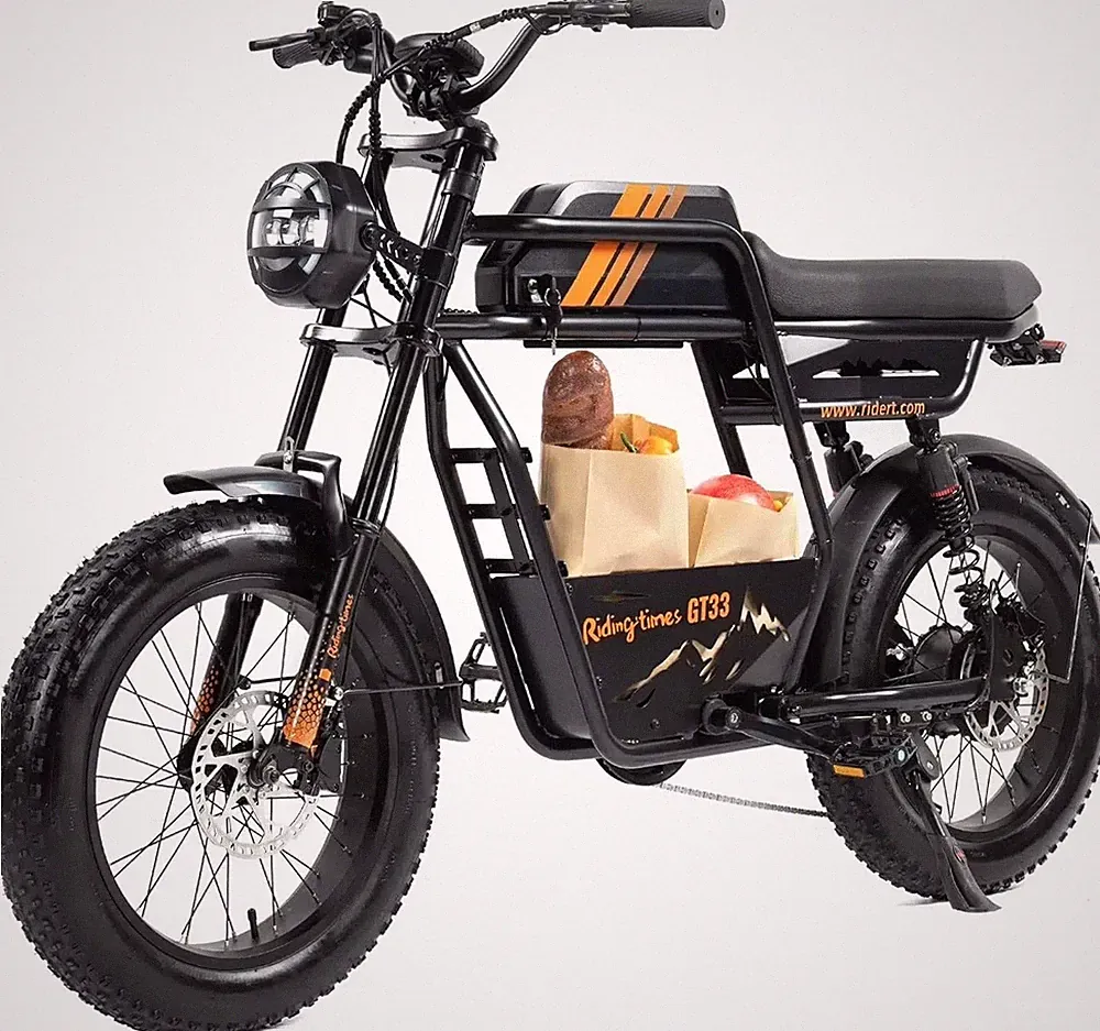 Riding'times GT33 48V/27Ah Electric Bike for Cargo Urban Cargo eBike New